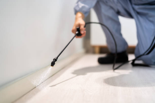 Licensed Exterminator service in Jefferson, NC - Show Me Pest Control